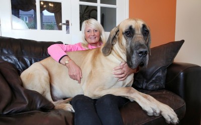 1��8�������ġ���Ȯ